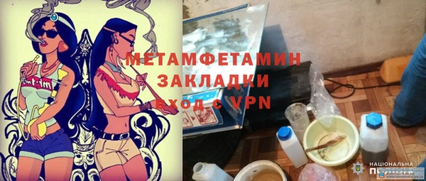прущие грибы Ладушкин