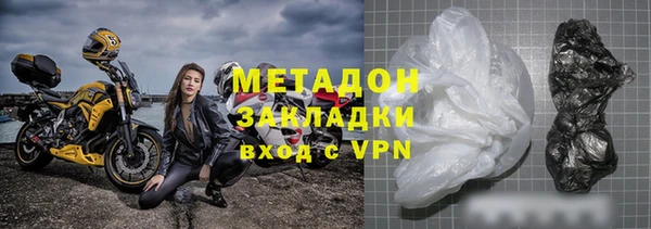 прущие грибы Ладушкин