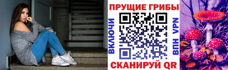 Псилоцибиновые грибы мухоморы  купить наркотик  ссылка на мегу ONION  Строитель 