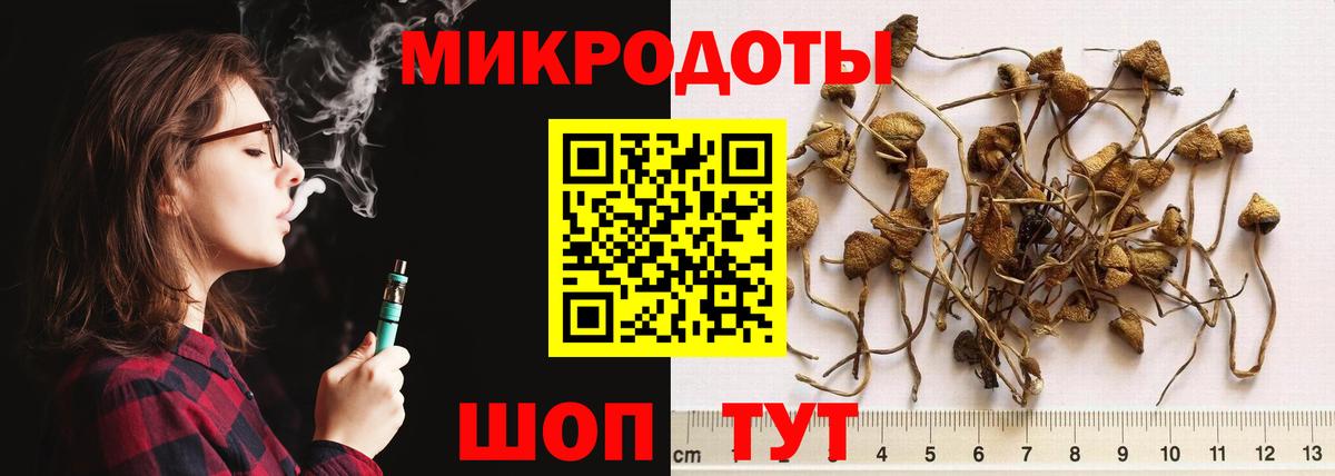 Строитель  Галлюциногенные грибы мухоморы  Псилоцибиновые грибы прущие грибы  Вход с VPN 